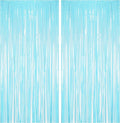 BRAVESHINE Foil Fringe Curtains Party Backdrop by BRAVESHINE