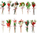 10/12/24/36 Pack Mini Dried Flowers by Unknown