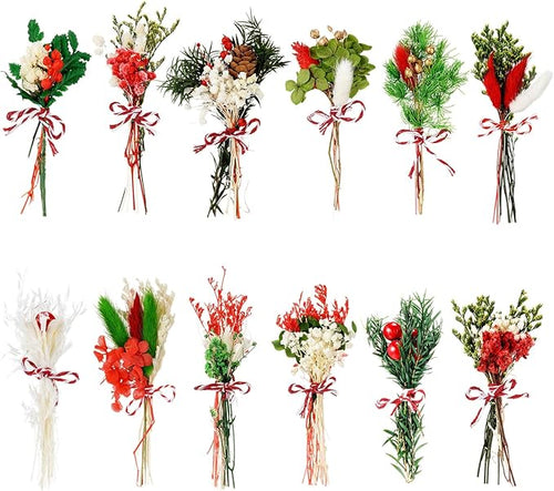 10/12/24/36 Pack Mini Dried Flowers by Unknown