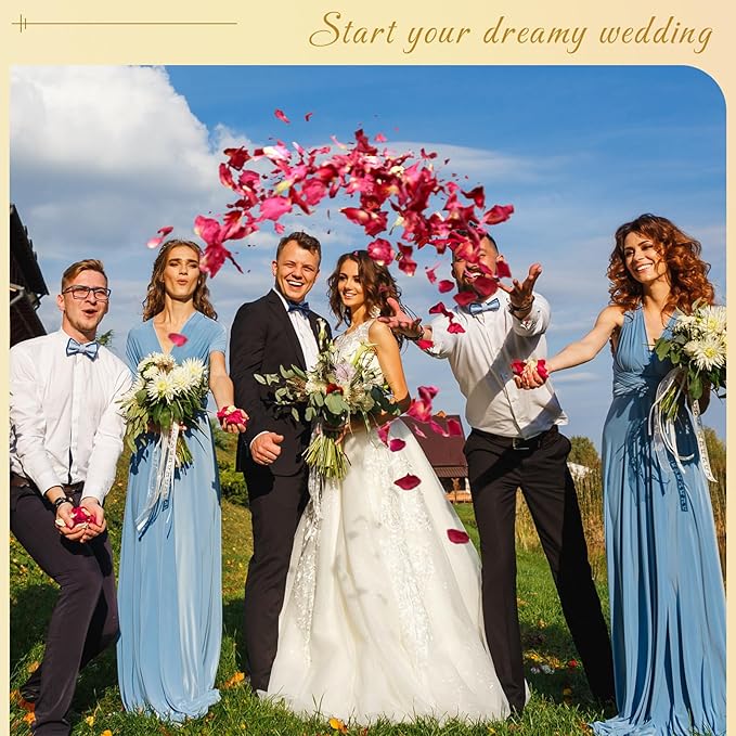 300+ PCS Biodegradable Red Rose Petals Wedding Confetti, 20+ Cups Dried Flower - Image 7