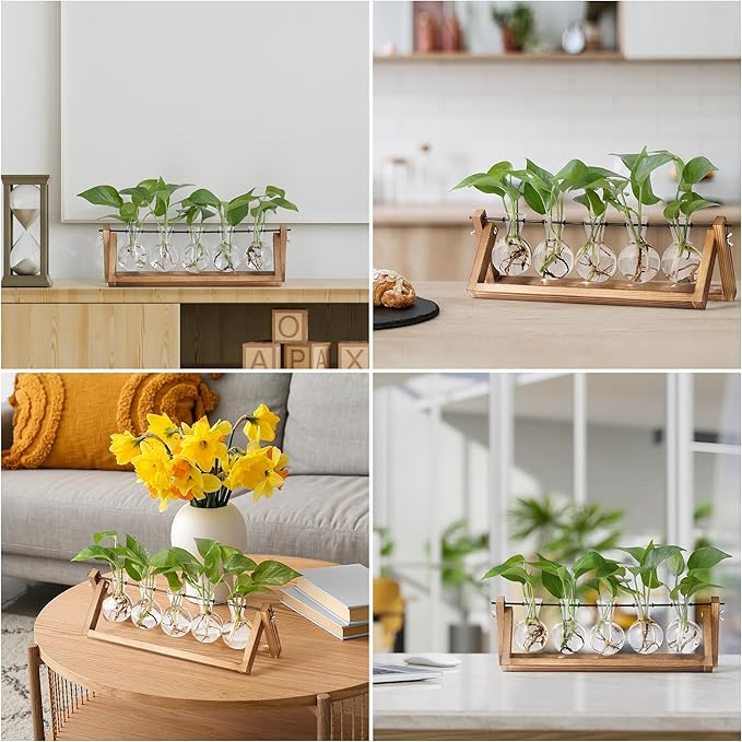 YIBOT Propagation Stations, Plant Terrarium - Image 7