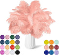 NEWONG 30pcs Rouge Pink Ostrich Feathers Natural Bulk 9-12in（23-30cm） Vase by NEWONG