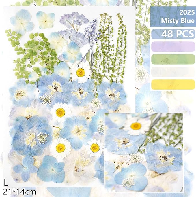 Real Dried Pressed Flowers Leaf Plant Herbarium - Image 2