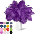 NEWONG 30pcs Purple Ostrich Feathers Natural Bulk 9-12inch Vase Craft Wedding by NEWONG
