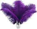 Ballinger Purple Ostrich Feathers Bulk by Ballinger