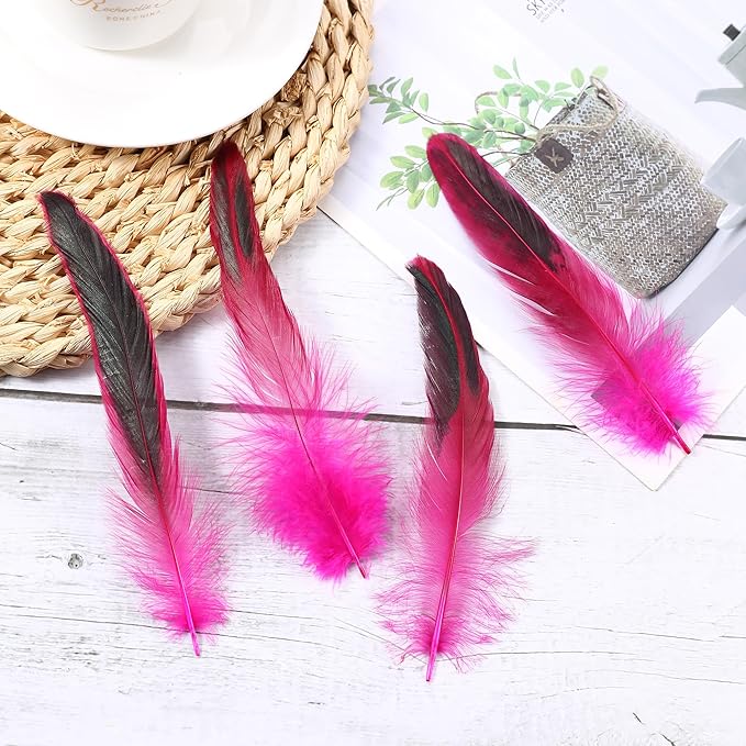 SOGUGOM Pink Rooster Tail Feathers - Image 6