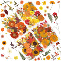 120 Pcs Dried Pressed Flowers for Crafts, Real Natural Flowers in Vibrant Yellow by LUXEEASE