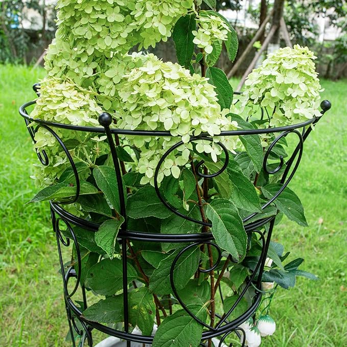 Large Obelisk Trellis Peony Cage 24.6x17 Inches - Image 5