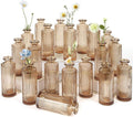 Glass Bud Vases Set of 20, Living Bud Vases, Small Bud Vase in Bulk, Mini by saiguomi