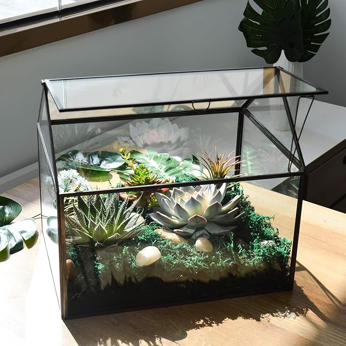 Black 1 Large Glass Plant Terrarium Kit - Image 2