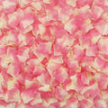 CODE FLORIST 2200 PCS Silk Flower Rose Petals by CODE+FLORIST