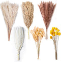 100PCS Natural Dried Pampas Grass Decor by Secatoho