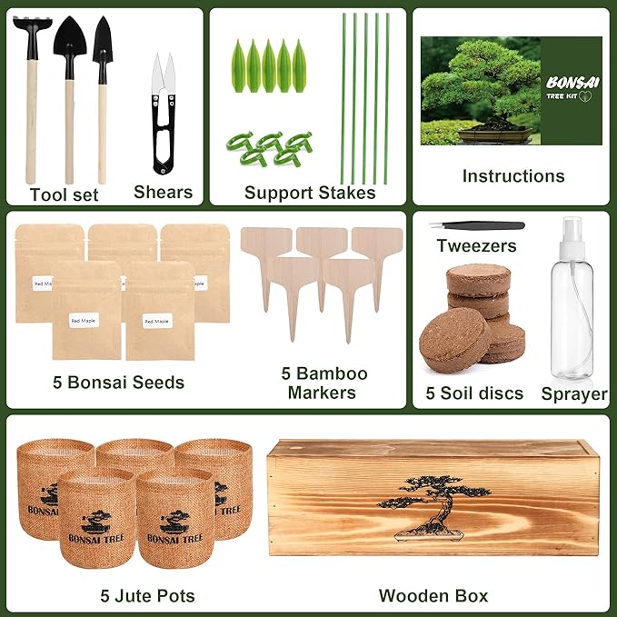 5 Pack Bonsai Tree Kit - Image 2