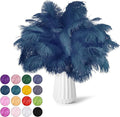 NEWONG 30pcs Navy Blue Ostrich Feathers Natural Bulk 9-12inch Vase Craft by NEWONG