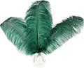 Happy Feather 16-18 inch Blackish Green Ostrich Feathers Craft by SupplyHighQualityFeathers
