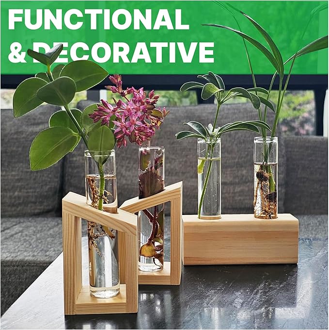 Plant Propagation Station - Image 4