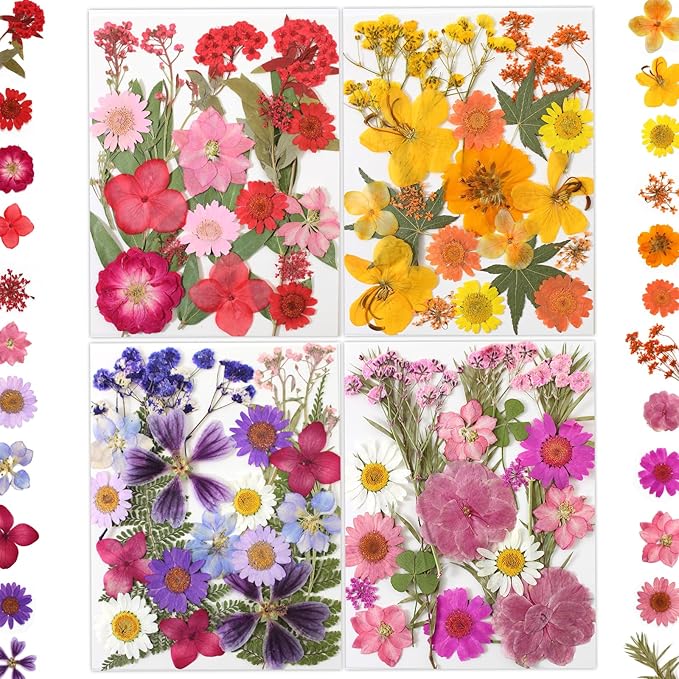 80 Pcs Dried Flowers for Crafts, Real Natural Dried Pressed Flowers in Vibrant by LUXEEASE