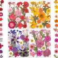 80 Pcs Dried Flowers for Crafts, Real Natural Dried Pressed Flowers in Vibrant by LUXEEASE