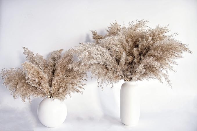 Pampas Grass Decor, Natural Dry Pampas Grass Small, Short Pampass Bulk - Image 7