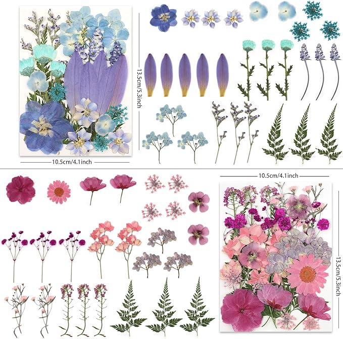 110P 4 Color Long Stem Dried Flowers - Image 3