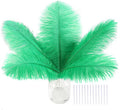 SOGUGOM Green Craft Ostrich Feathers by SOGUGOM