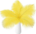 THARAHT Yellow Ostrich Feathers 24pcs Natural Bulk 10-12Inch 25cm-30cm by THARAHT