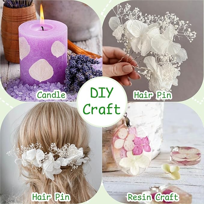 4500Pcs Ivory White Dried Hydrangea Flower Petals - Image 5
