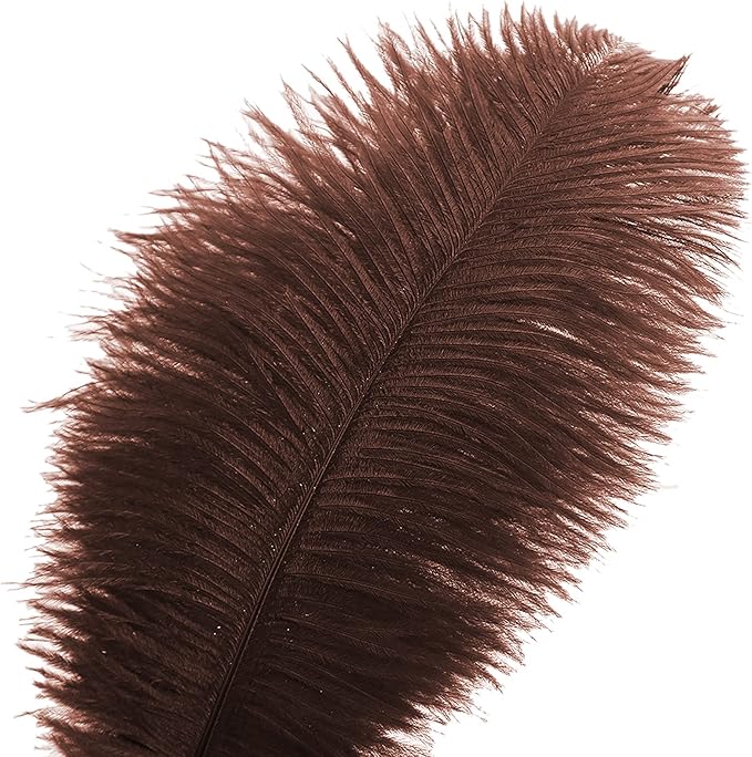 Ballinger Brown Ostrich Feathers Bulk - Image 2
