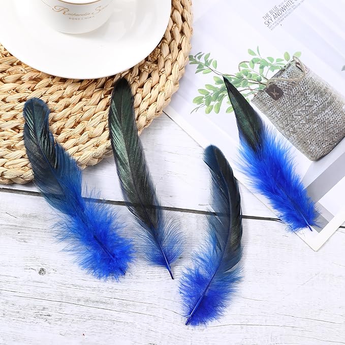 SOGUGOM Blue Rooster Tail Feathers - Image 6
