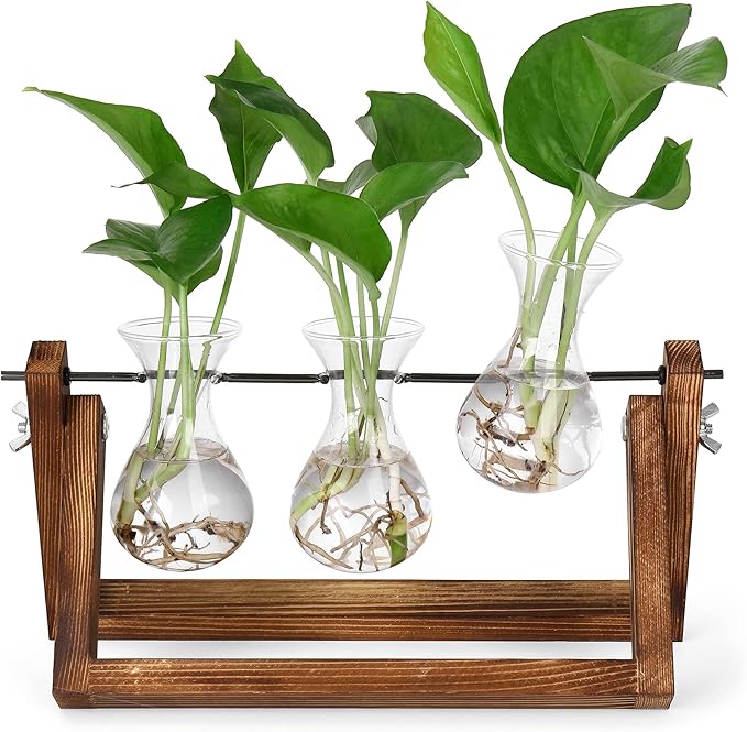 YIBOT Propagation Stations, Plant Terrarium - Image 9