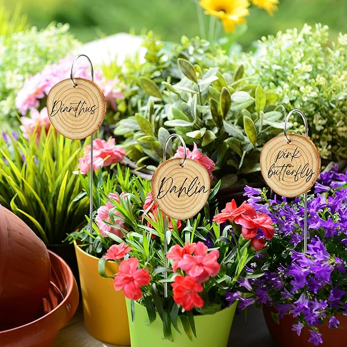 Temlum Wooden Plant Labels - Image 5