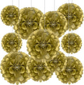 Tissue Paper Pom Poms, Hanging Flower Balls by Tisspoms