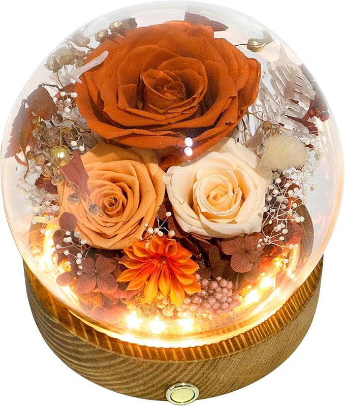 Valley of Rain & Forest Long-Lasting Real Flowers, Unique Floral Gift by ValleyofRainForest