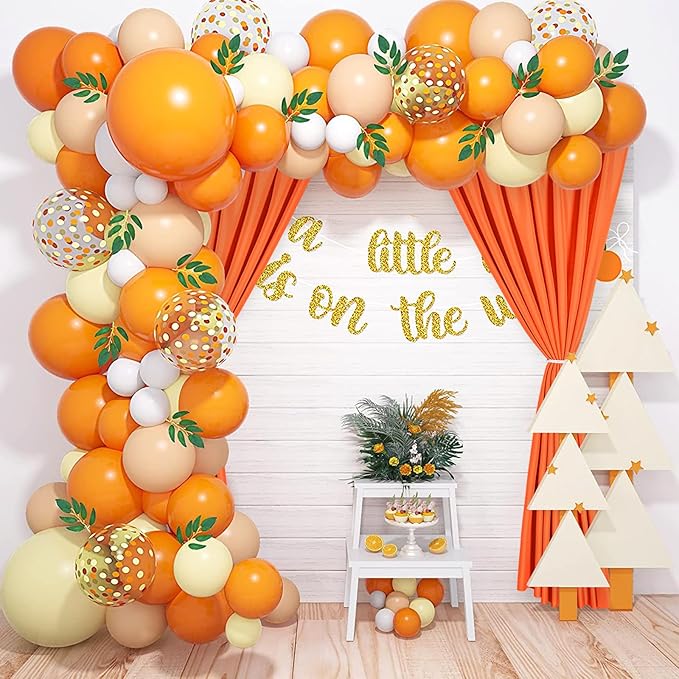 DWCN 10x10 FT Backdrop Curtains - Image 6