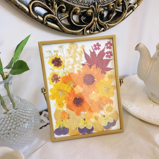 12Types Real Dried Pressed Flowers Sunflowers - Image 4