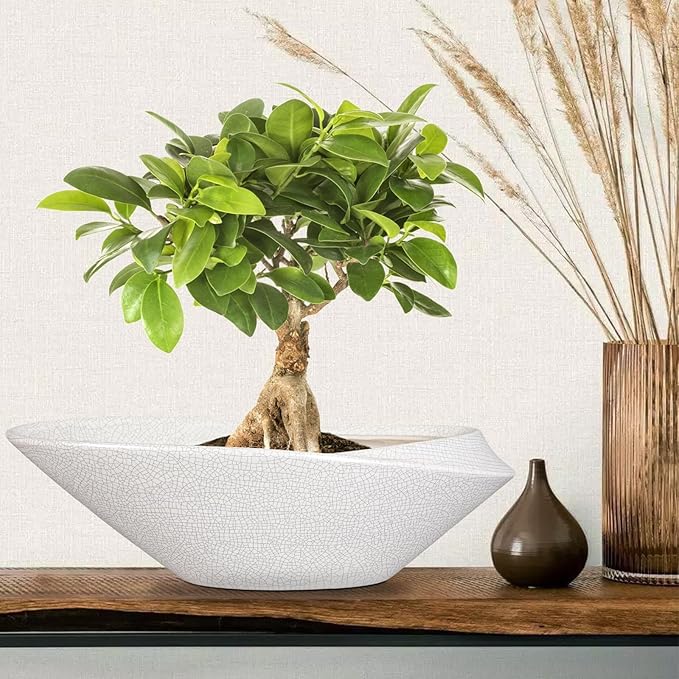 Bonsai Pots - 18 Inch Ceramic Plant Pot - Image 3