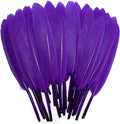 FeelfunFeather 120pcs Purple Goose Cochettes Feather Natural Bulk 4-6 inch by FeelFunFeather