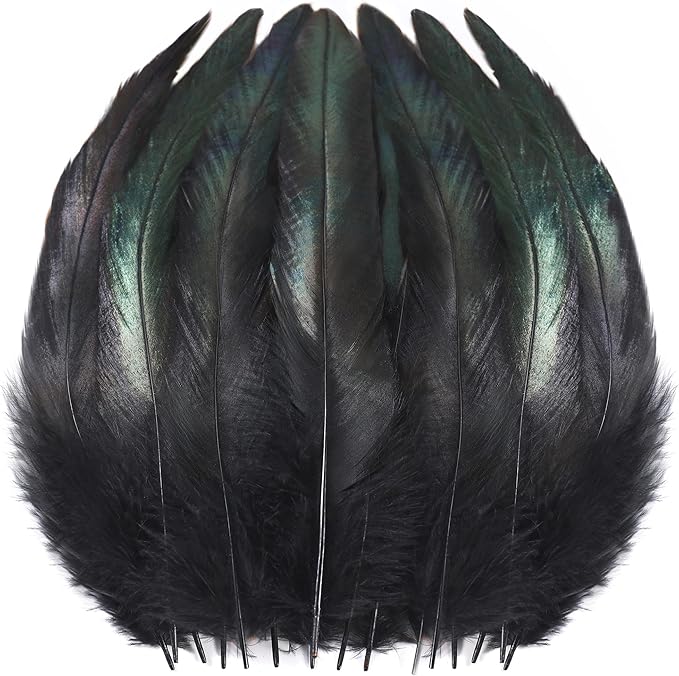 SOGUGOM Black Rooster Tail Feathers by SOGUGOM