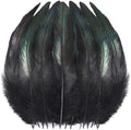 SOGUGOM Black Rooster Tail Feathers by SOGUGOM