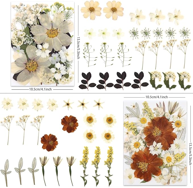 100P Vintage White Dried Flowers - Image 3