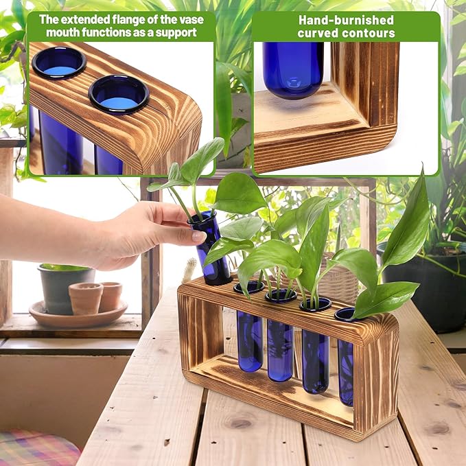 Glass Plant Propagation Station - Image 4