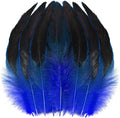 SOGUGOM Blue Rooster Tail Feathers by SOGUGOM