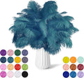 NEWONG 30pcs Blue Green Ostrich Feathers Natural Bulk 11-14inch Vase Craft by NEWONG