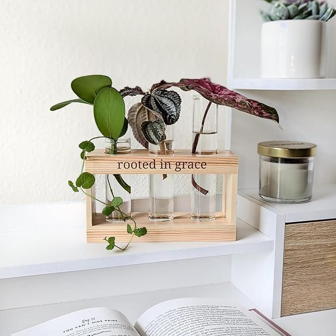 Rooted in Grace: Plant Propagation Stations: Plant Cutting Holder w/ 3 Glass - Image 5