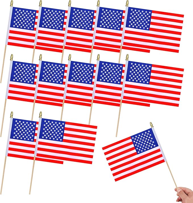 12Pcs Small American USA Flags on Wooden Stick Mini United States Flag Hand by HSQCEZ