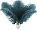 Ballinger Teal Ostrich Feathers Bulk by Ballinger