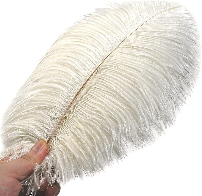 Ballinger Beige Big Ostrich Feathers - Image 2