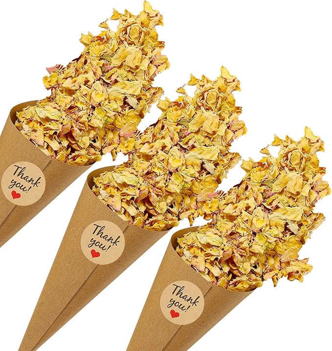 PATIKIL Dried Flower Confetti Cones, Light Yellow/Pink by PATIKIL