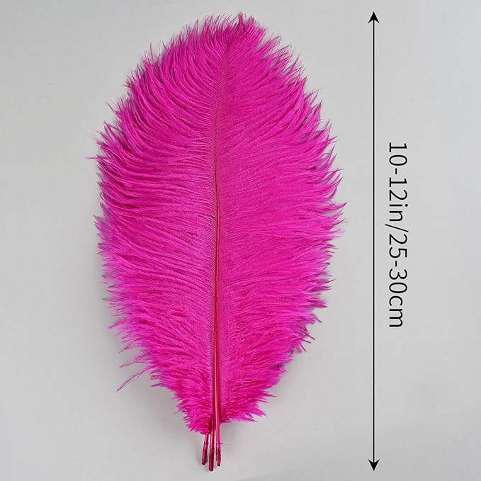 THARAHT Hot Pink Ostrich Feathers 12pcs Natural Bulk 10-12Inch 25cm-30cm - Image 2
