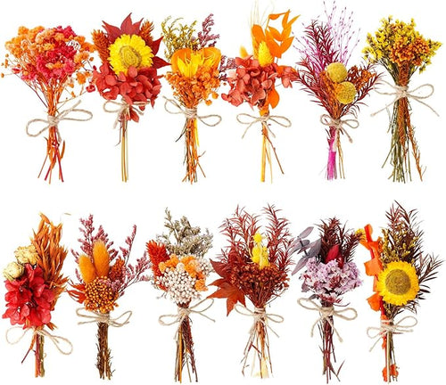 10/12/24 Pack Dried Flowers for Vase Various Mini Bouquet Dried Small by Unknown